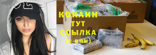 гашик Балахна