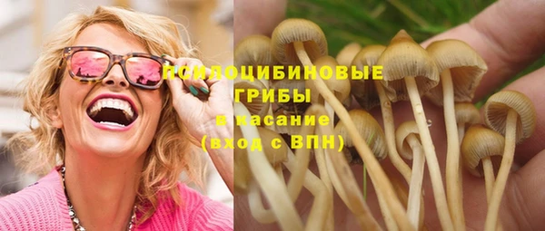 мяу мяу мука Балабаново